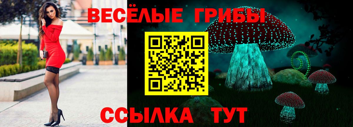 Галлюциногенные грибы GOLDEN TEACHER  Вход с VPN  Ялуторовск 